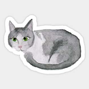 Gray Tabby Cat Sticker